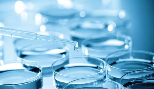 專利變現(xiàn)還是技術(shù)突圍？熱景生物科創(chuàng)板IVD首秀背后的市場考驗(yàn)